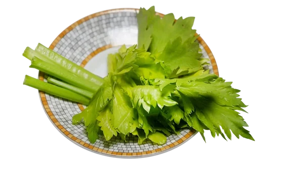 ขึ้นฉ่าย